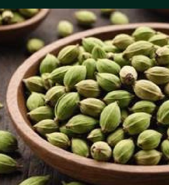 Fresh green cardamom pods