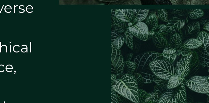 Tropical green foliage