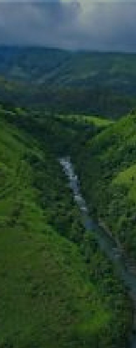 The green Western Ghats of Kerala